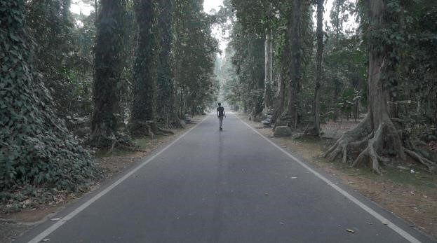 Riding Santai Di Kebun Raya Bogor